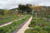 giverny and monet
