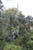 les jardins du sud