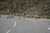 mountain sheep