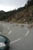 mountain sheep