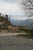 mountain sheep